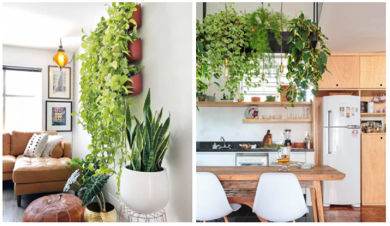 Plantas-Pendentes 2026 word1