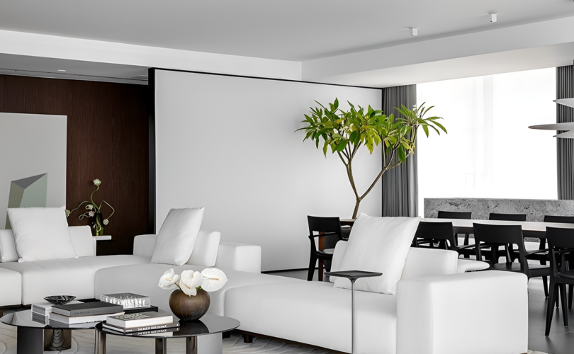 Descubra 10 Plantas Ideais Para Decorar De Forma Minimalista E Elegante 1 2026 word3