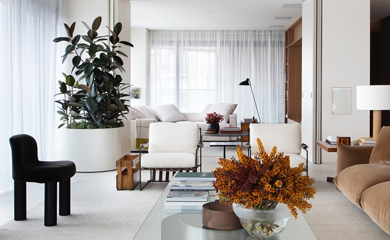 ficus elastica de folhas escuras decorando canto iluminado de sala minimalista