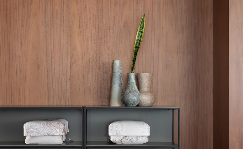 espada-de-são-jorge em vaso minimalista ao lado de objetos escultóricos em ambiente com parede de madeira