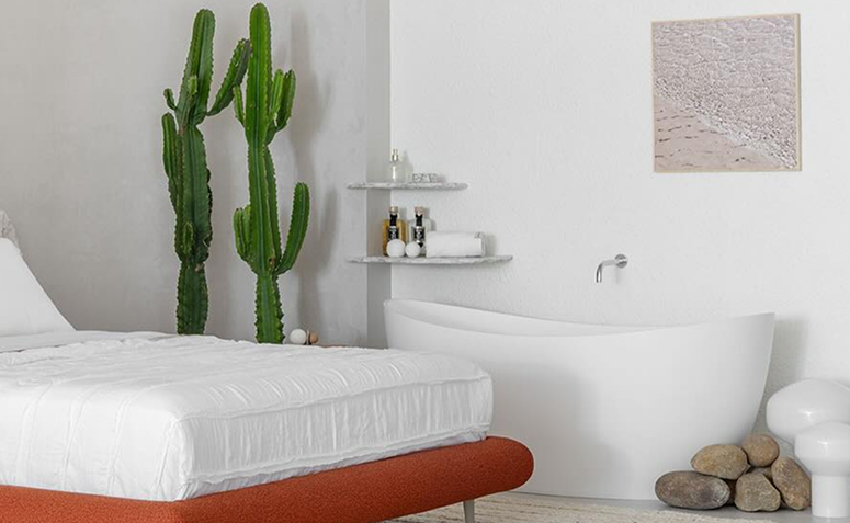 cactos colunares altos em vasos simples criando ponto focal em ambiente minimalista