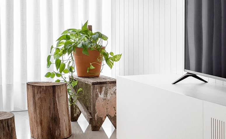 jiboia pendente em banco de madeira compondo decoração minimalista.