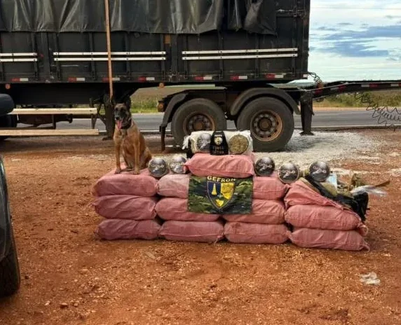 Apreensão De Skank Em Diamantino: Prejuízo De R$ 1,8 Milhão É Registrado 1 2026 word2