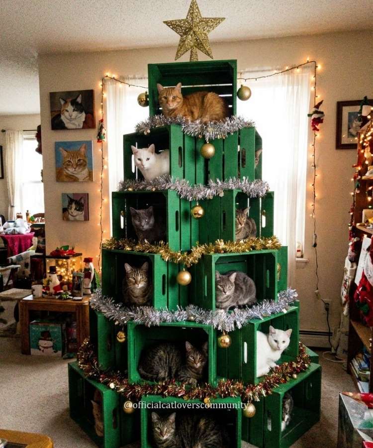 2-Arvore-Natal-Criativa-2025 Árvore de Natal para gatos feita com caixotes de madeira