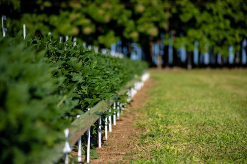 Ctecno Araguaia Revela Resultados Inovadores De Estudo Em Solos Siltosos Ao Longo De Três Anos 1 2026 word1