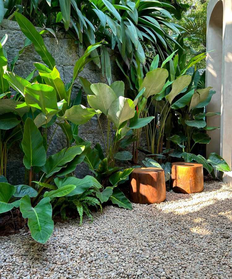 Pedras-Para-Jardim-2 Jardim com pedras, plantas e bancos de madeira