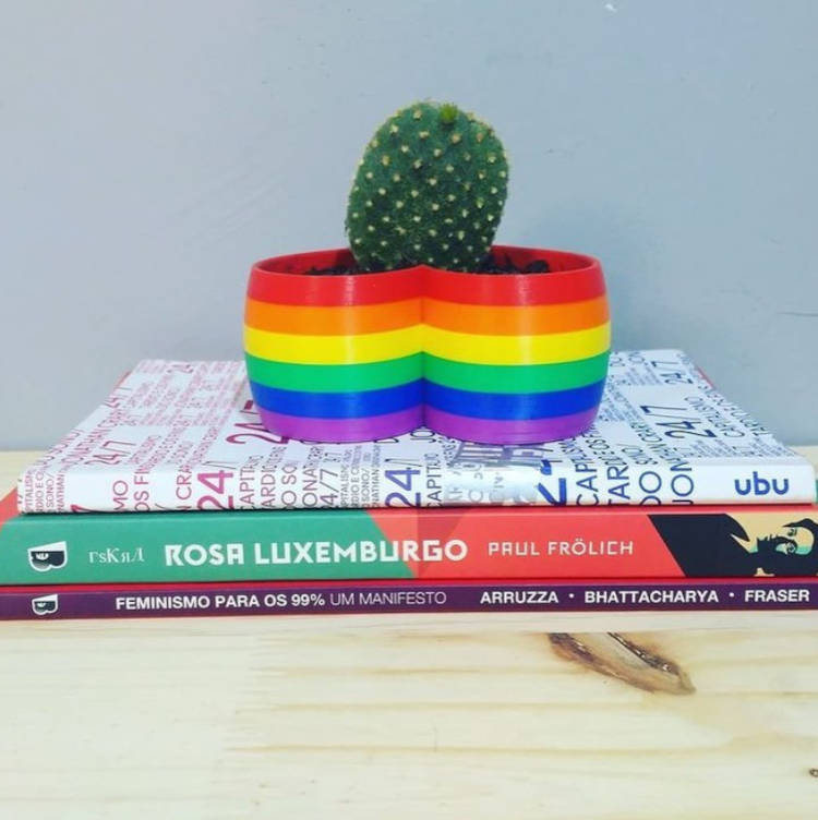 Vaso Com Cacto. Vaso de suculenta nas cores da bandeira LGBTQIA+, com livros embaixo