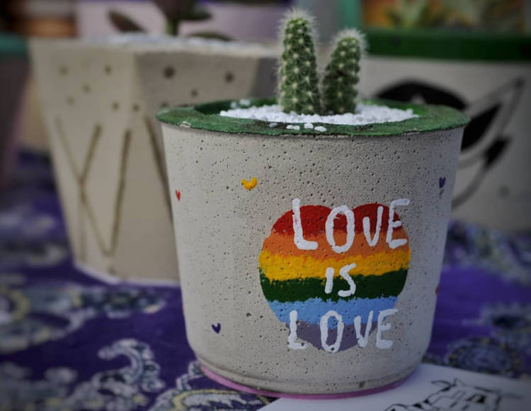 Vaso De Planta Com A Bandeira Lgbtqia+. Mini cacto em vaso de argila com coração nas cores da bandeira LGBT e frase "love is love" em branco