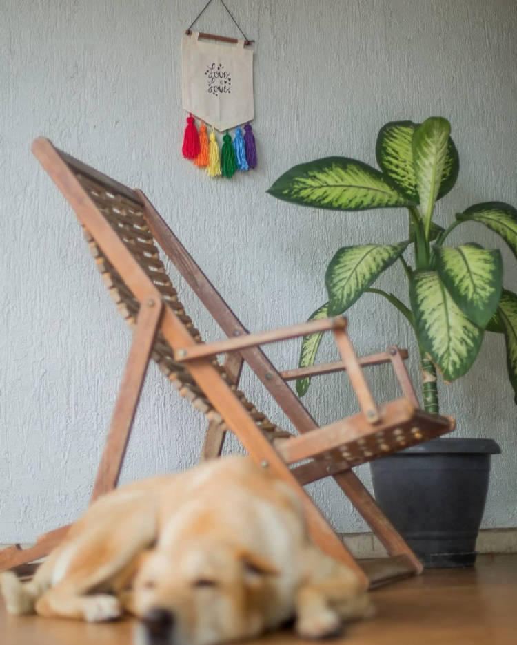 Flâmula Na Parede. Foto de espaço com parede bege, cadeira de madeira, vaso de planta e flâmula bege escrito "love is love" e detalhes nas cores da bandeira LGBT