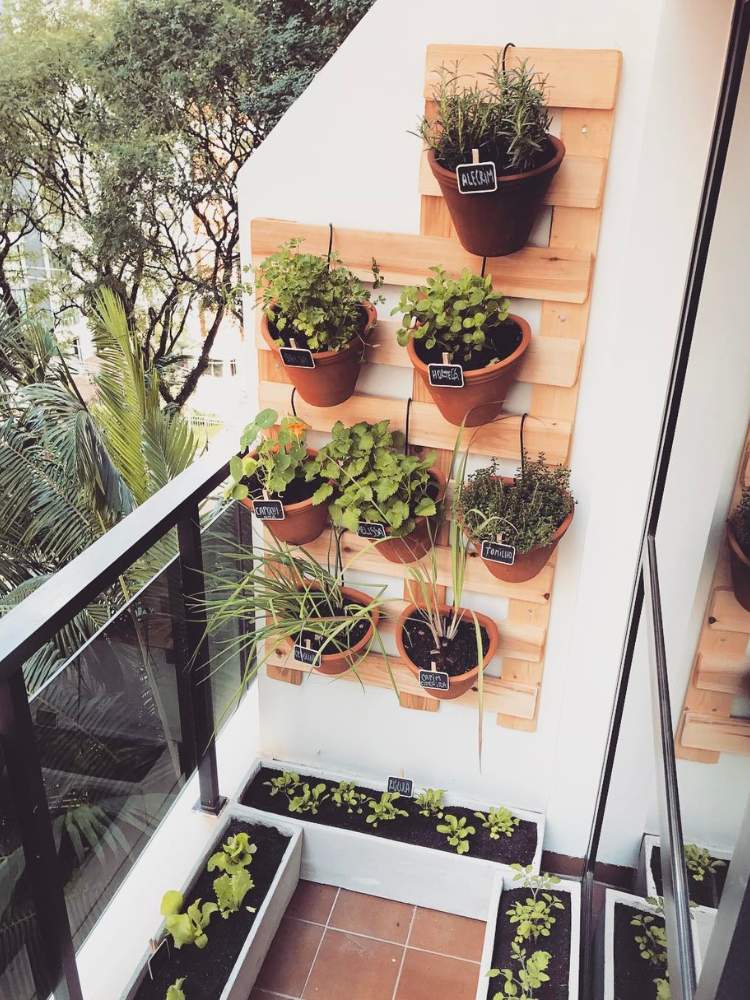 Horta-Em-Apartamento-1 Horta vertical em painel de madeira na varanda