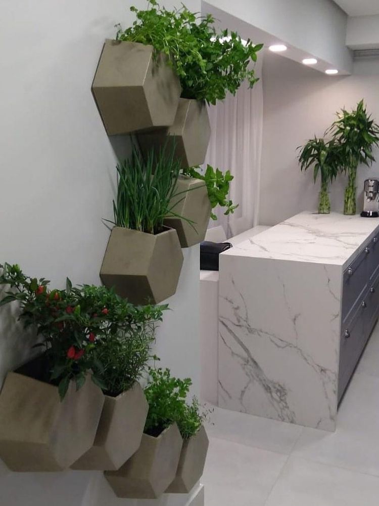 Horta-Em-Apartamento-9 Parede com colmeia com horta