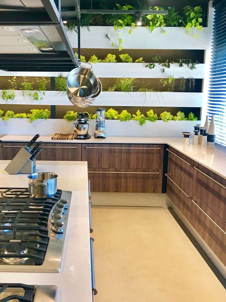 Horta-Em-Apartamento-15 Cozinha em madeira com parede de horta