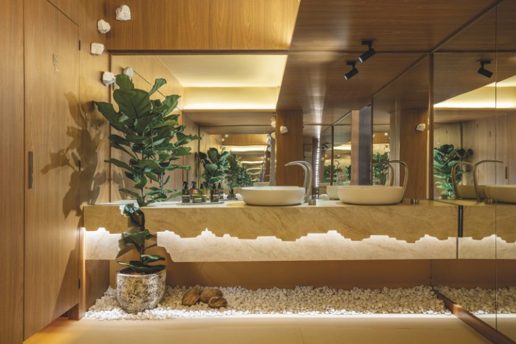 Casacor-Sao-Paulo-2025-12 Pia dupla com planta entre espaço da pia, tons terrosos, pedras e espelhos