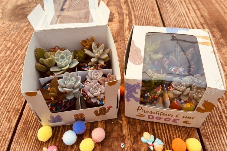 Enflor-E-Garden-Fair-2025-6 Caixas de presente com suculentas e frase "Presentear é doce"