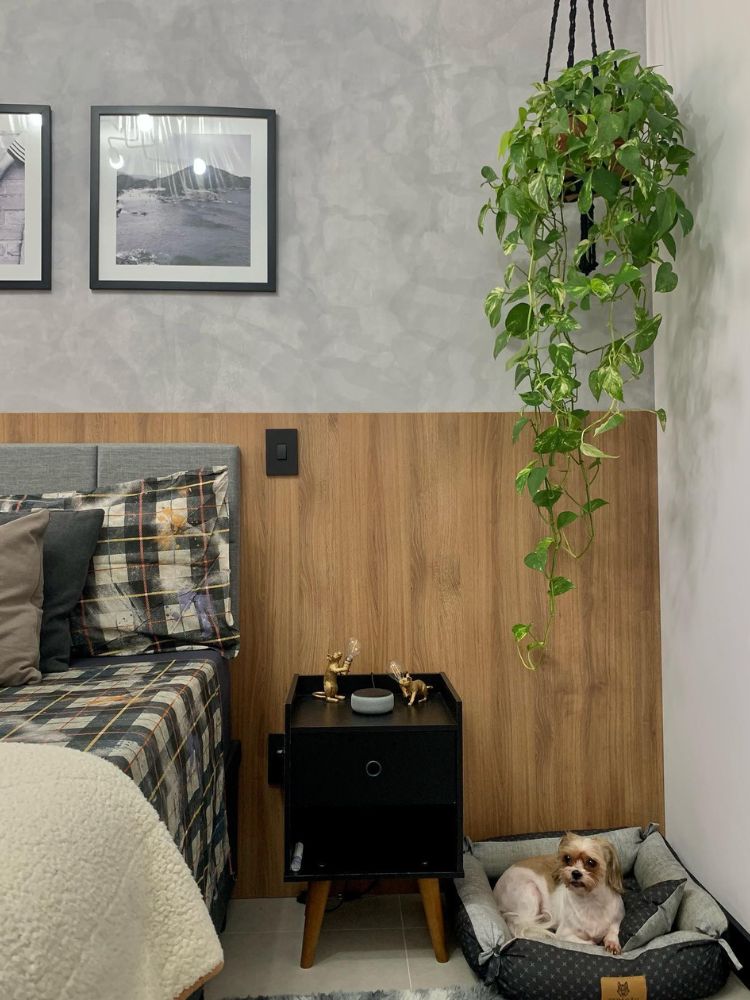 Plantas-De-Sombra-9 Jiboia suspensa em canto do quarto com cabceira de madeira, mesa de cabeceira preta e cachorro na caminha