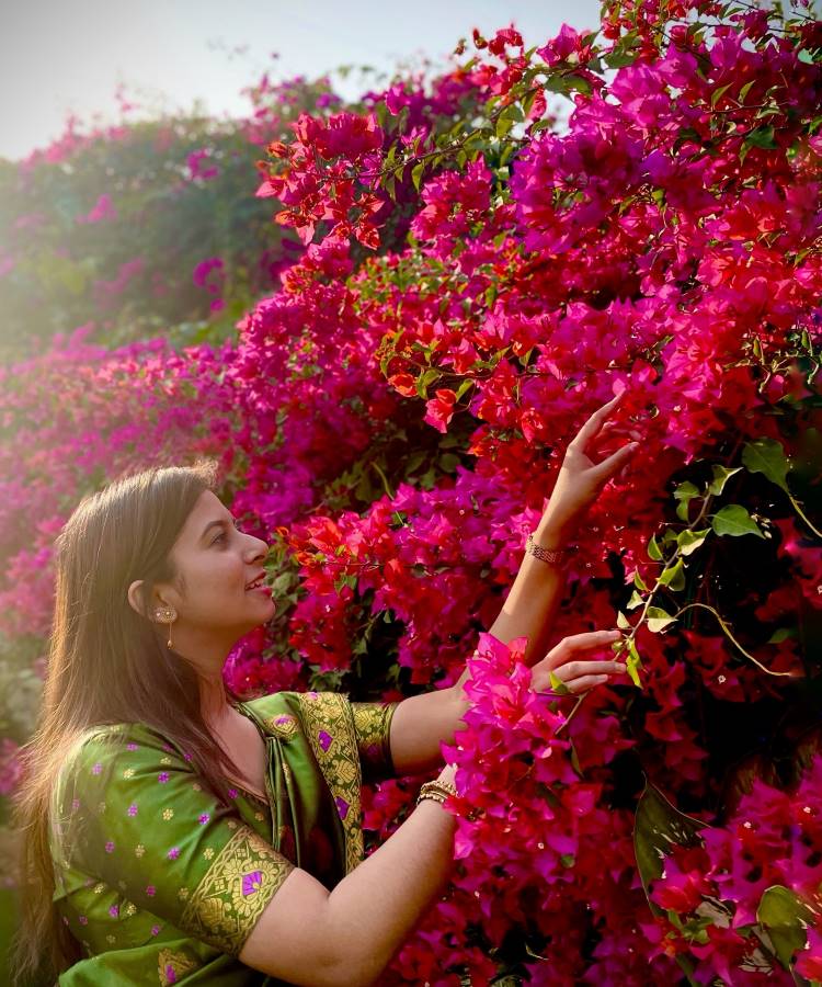 Plantas-Que-Gostam-De-Sol-Primavera Uma mulher com um sari verde-oliva e dourado admira e toca uma exuberante moita de buganvílias rosa e fúcsia. A luz do sol brilha através das flores vibrantes, criando uma cena pitoresca e colorida.