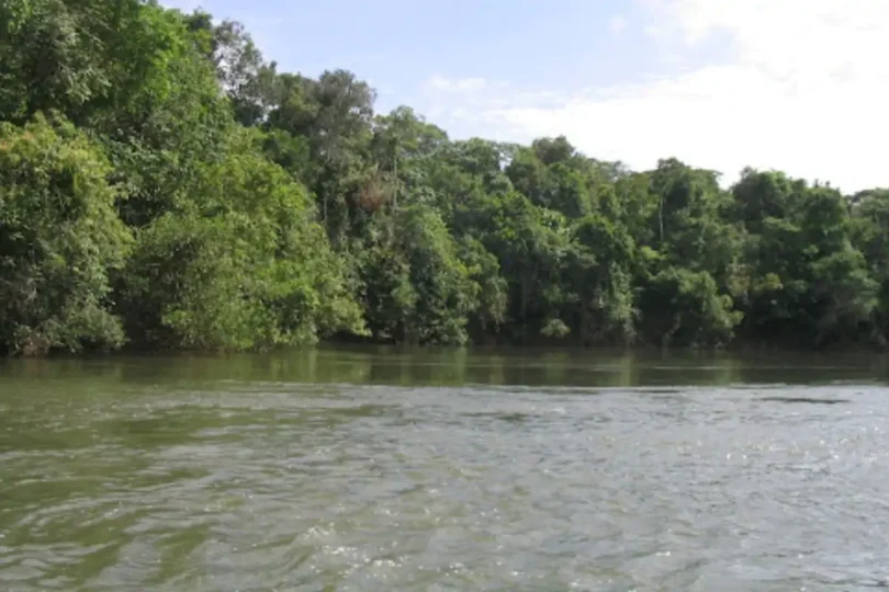 Monitoramento Do Nível Do Rio Verde Mantém Autoridades Alertas Durante Chuvas: Saiba Mais! 1 2026 word1