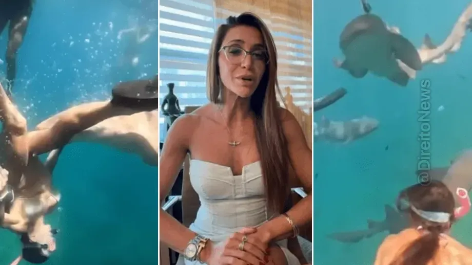 Advogada Mordida Tubarao Fernando Noronha Faz Defesa Animal advogada mordida tubarao fernando noronha faz defesa animal