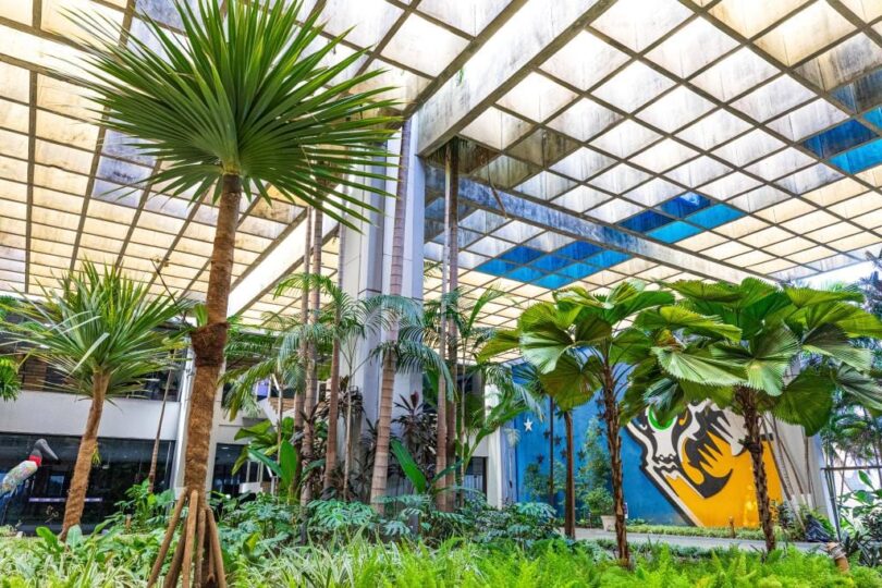 Mato Grosso Reduz Icms E Fortalece Microcervejarias E Panificação 1 2026 word1