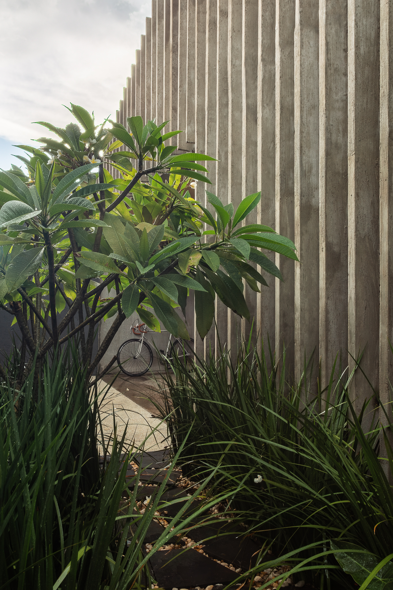 Jasmim-manga em jardim dá identidade e nome a residência.