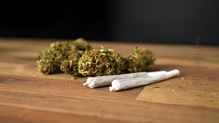 Trt-6 Aplica Justa Causa Funcionario Guardava Maconha Alojamento trt-6 aplica justa causa funcionario guardava maconha alojamento