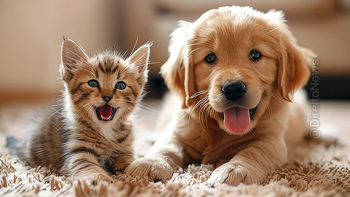 Comissão Aprova Projeto Que Torna Maus-Tratos A Animais Motivo De Justa Causa 1 2026 word2