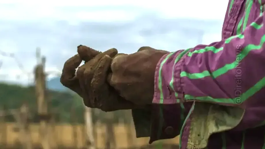 familia pagara 145 milhao manter trabalhadora domestica condicoes analogas escravidao 42 anos