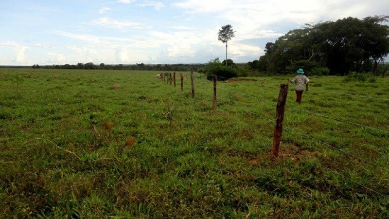 Fazendeiro Confessa Invasão E Desmatamento Em Assentamento Da União Para Criação De Gado: Mpf Investiga 1 2026 word3