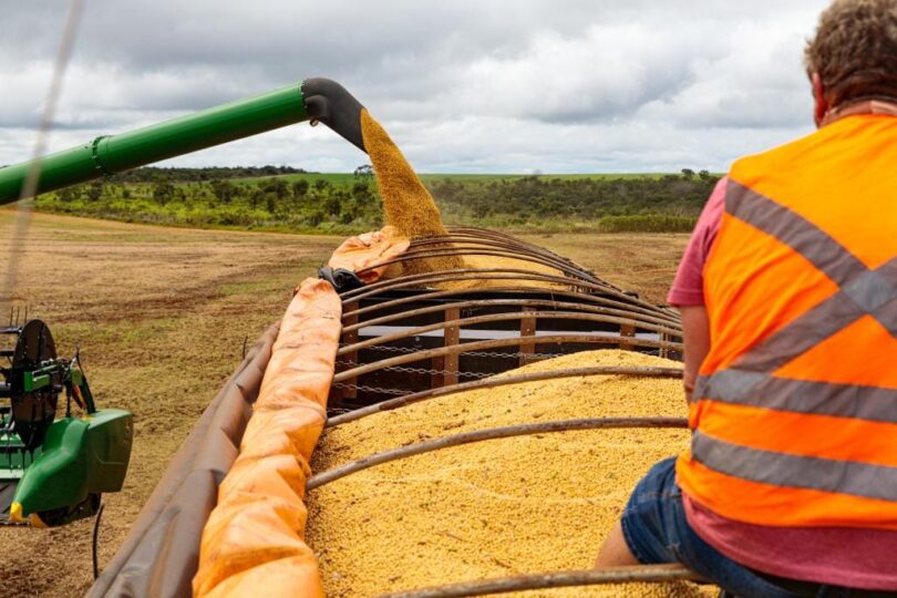 Mato Grosso Encerra 2025 Como 4º Maior Exportador Do Brasil, Atingindo Us$ 30 Bilhões Em Vendas Externas 1 2026 word2