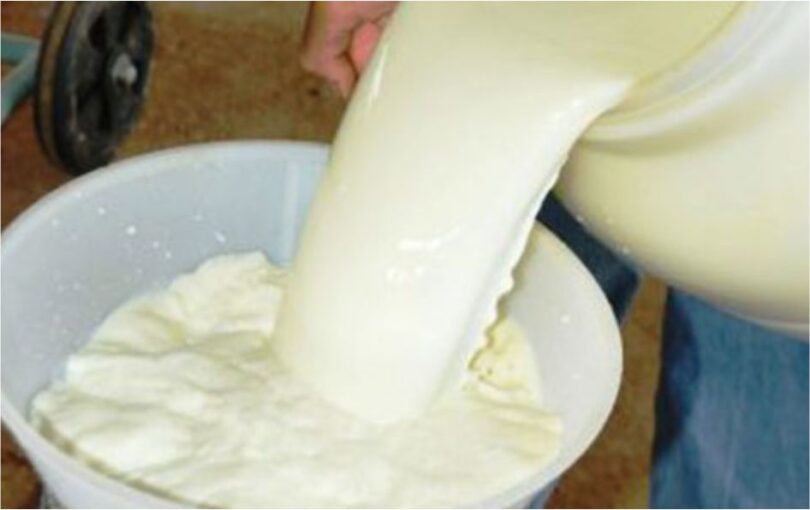 Preços Do Leite Caem 25,8% Em 2025: Saiba O Impacto Dessa Redução 1 2026 word2