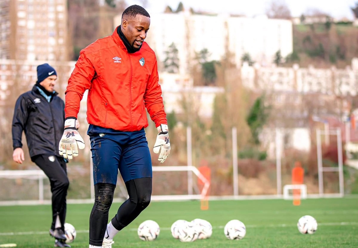 Lens X Le Havre Ao Vivo: Onde Assistir E Palpite Pela Ligue 1. Imagem: Divulgação Le Havre Lens x Le Havre ao vivo: onde assistir e palpite pela Ligue 1. Imagem: Divulgação Le Havre