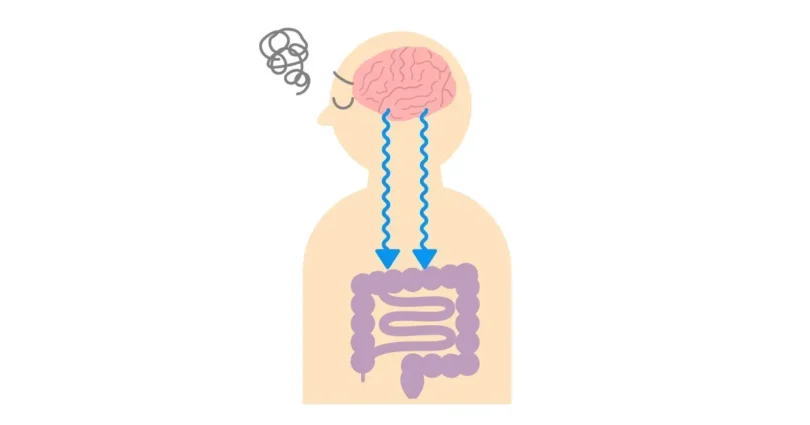 Descubra A Influência Do Estresse Psicológico Na Síndrome Do Intestino Irritável Causada Por Alimentos 1 2026 word3