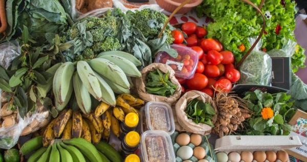 Feira Sabor Do Campo Volta Com Tudo Nesta Segunda-Feira Em Frente À Prefeitura: Sorriso Em Destaque! 1 2026 word1