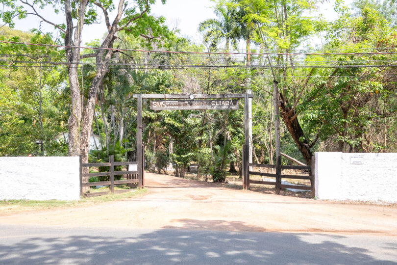 Mutirão De Limpeza Para Reabertura Do Horto Florestal Tote Garcia 1 Arquivo