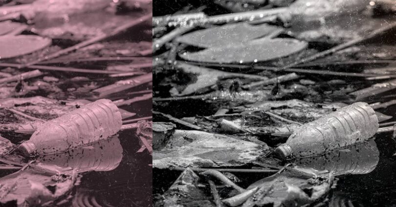 Alerta: 50% Dos Ambientes Aquáticos Estão Contaminados Por Lixo 1 2026 word3