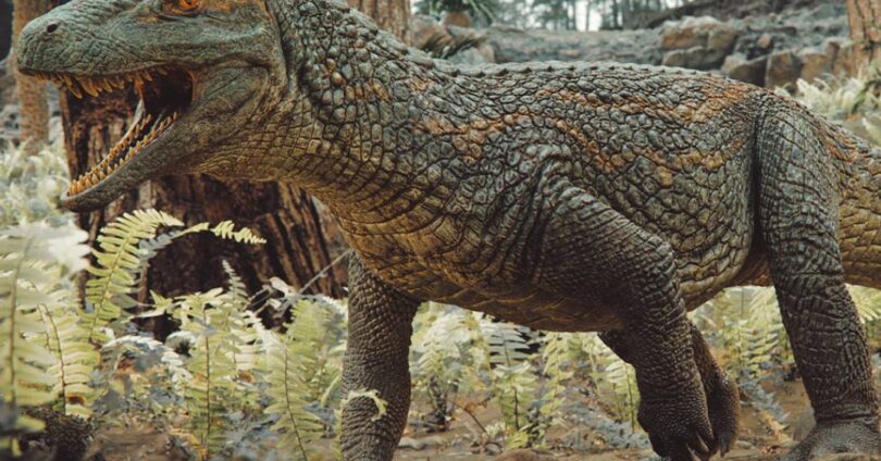 Descoberta De Réptil Fóssil Reforça Ligação Histórica Entre Brasil E África 1 2026 word2