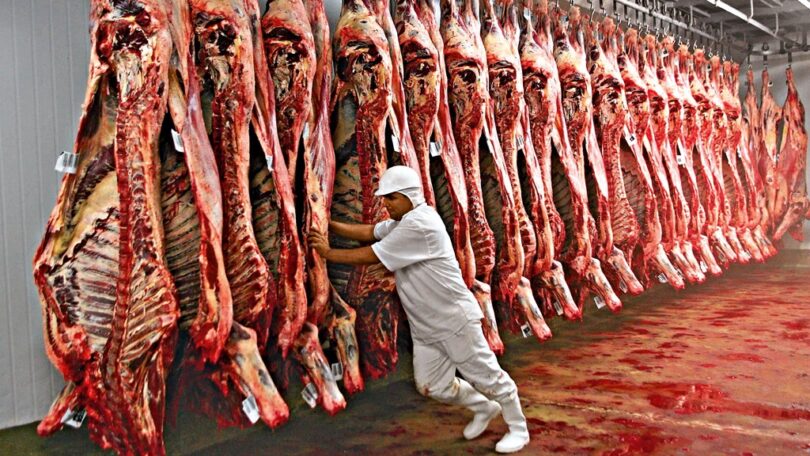 São Paulo Lidera Exportações De Carne Bovina Do Brasil: Balanço Atualizado 1 2026 word1