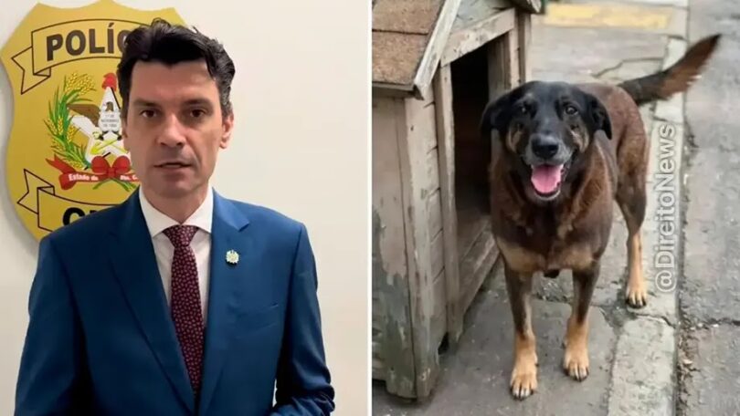 Delegado-Geral Nega Ligação Com Advogado De Suspeitos No Caso Orelha - Vídeo 1 2026 word2