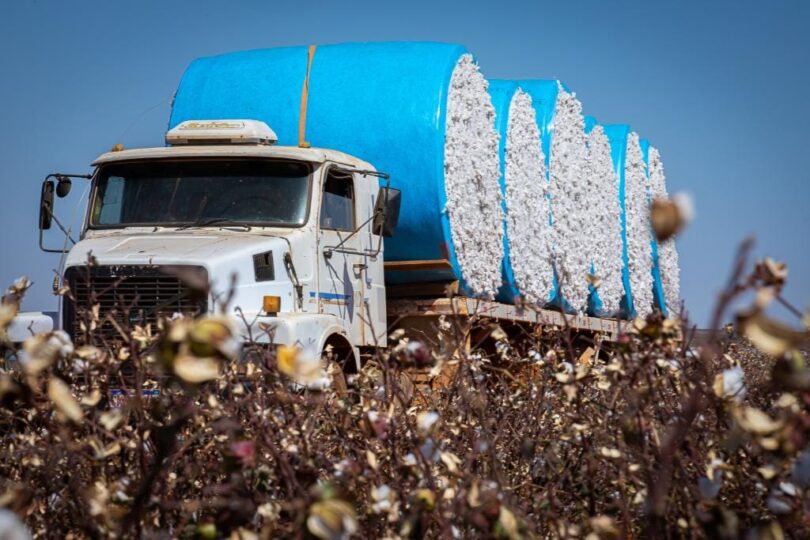 Mato Grosso Lidera Balança Comercial Do Brasil Com Saldo Recorde De Us$ 27 Bilhões 1 2026 word3