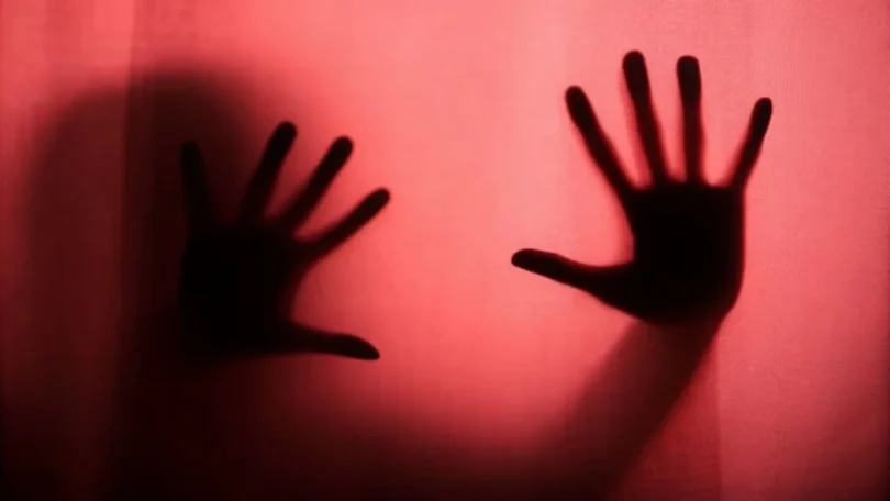 Mulher Sofre Agressão Do Ex-Marido Em Bom Jesus: Entenda O Caso 1 2026 word1