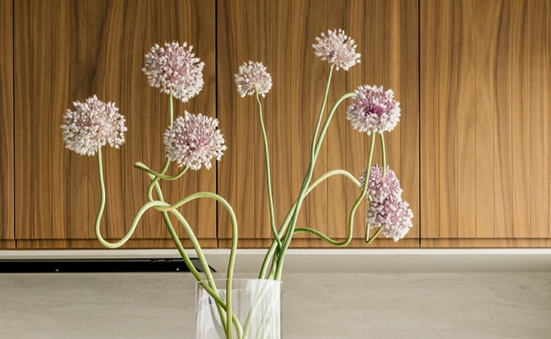 Flor de alho com hastes retorcidas e flores em tom rosado, destacando o visual escultural da decoração