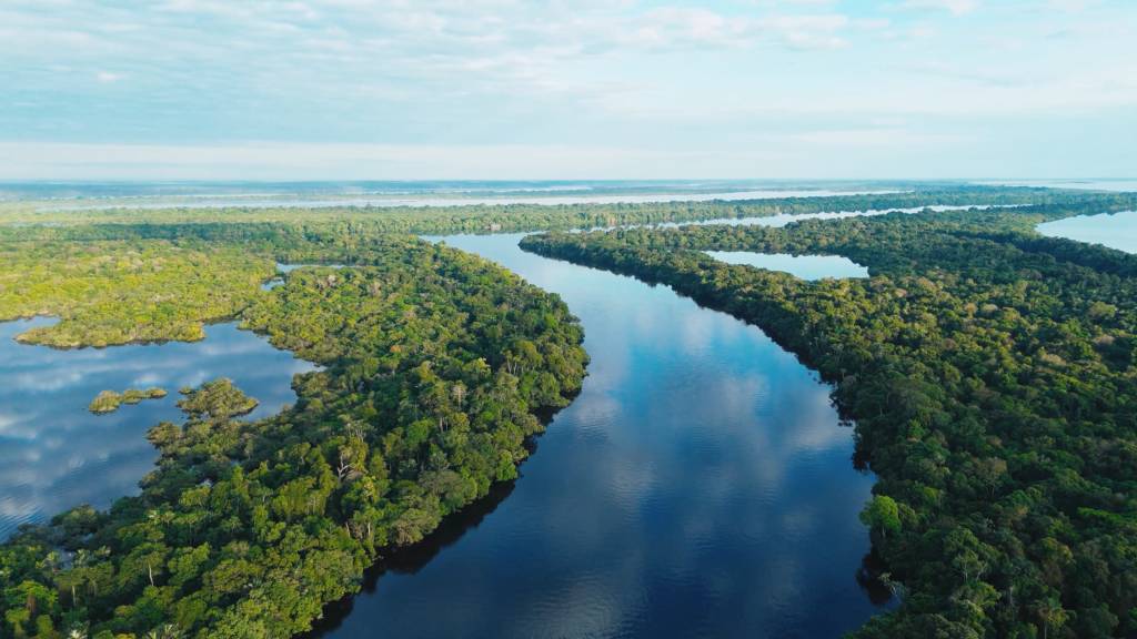 Amazônia