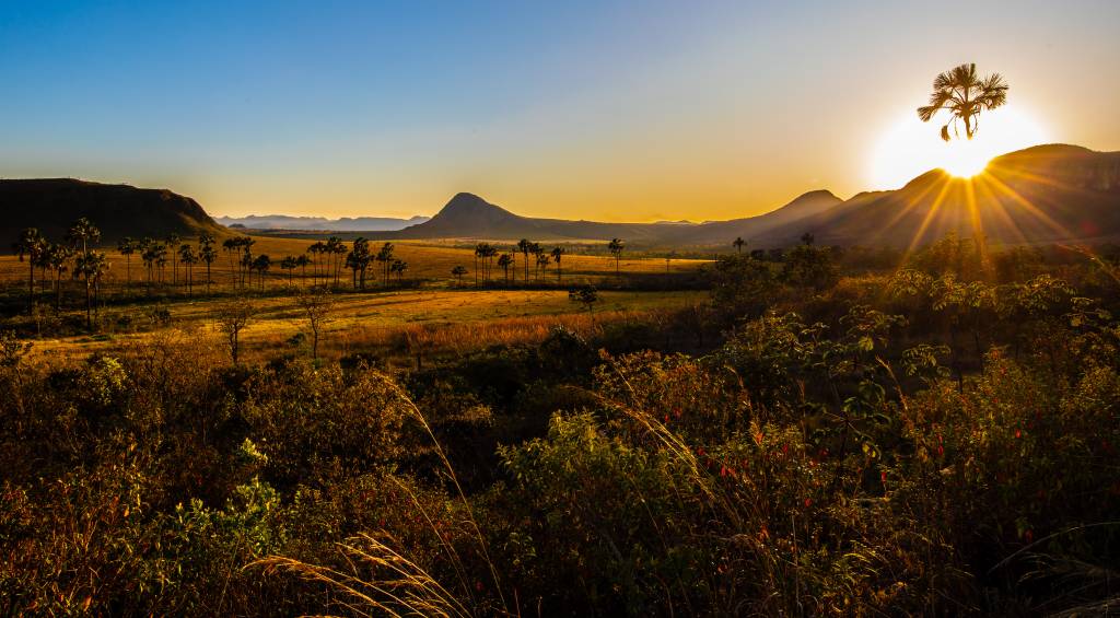 Chapada dos Veadeiros