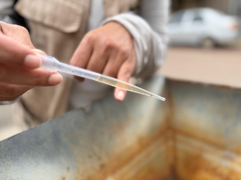 Aedes Aegypti Se Reproduz Em Água Com Óleo E Produtos Químicos Em Sinop: Alerta De Infestação 1 2026 word3