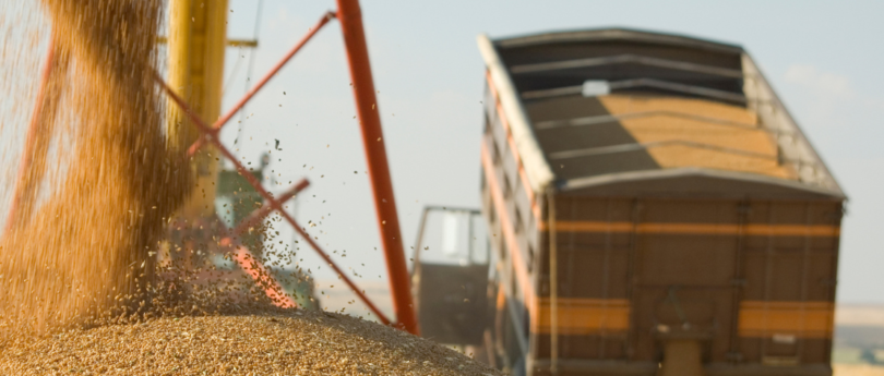 Frete De Grãos Em Mato Grosso Aumenta Devido À Colheita Da Soja E Escassez De Caminhões 1 2026 word2