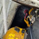 Ocorrência foi registrada na manhã desta sexta-feira (6) e envolveu cerca de 50 toneladas de soja; trabalho técnico evitou a re-ignição do material