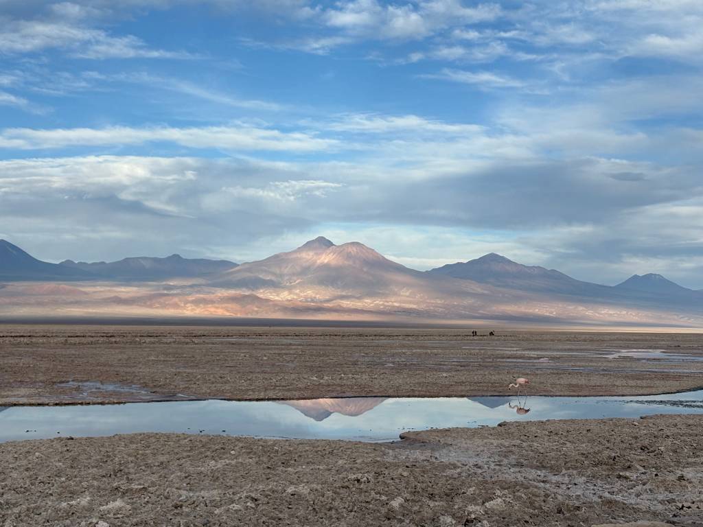 Vicunha, Atacama, Chile