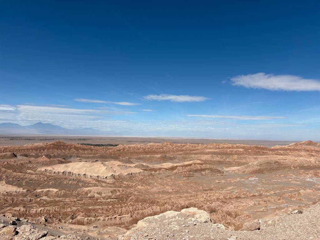 Vicunha, Atacama, Chile