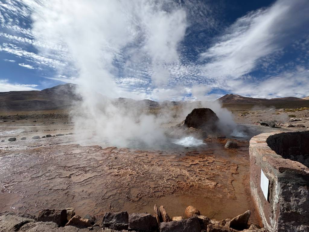 Vicunha, Atacama, Chile