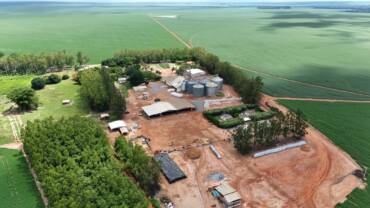 Em dez anos, CAT Sorriso multiplica certificações da soja responsável e fortalece a agricultura regenerativa em Mato Grosso